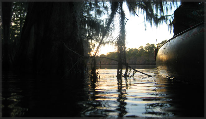 view trip to Caddo Lake State Park